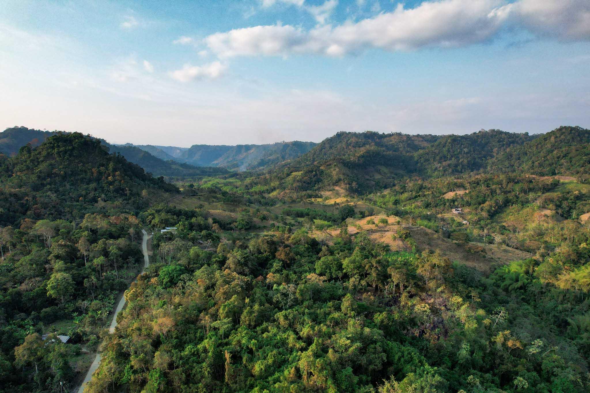 Ecuador background