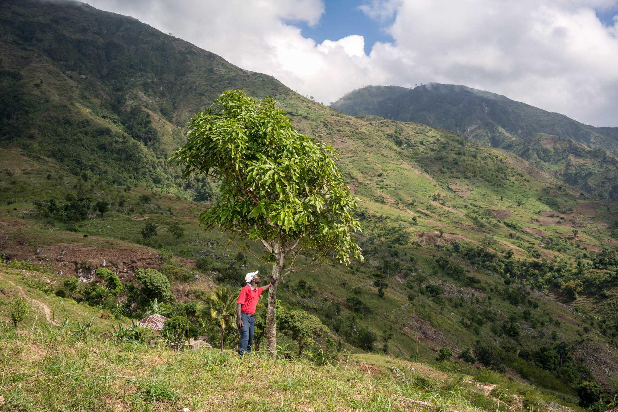 Haiti background