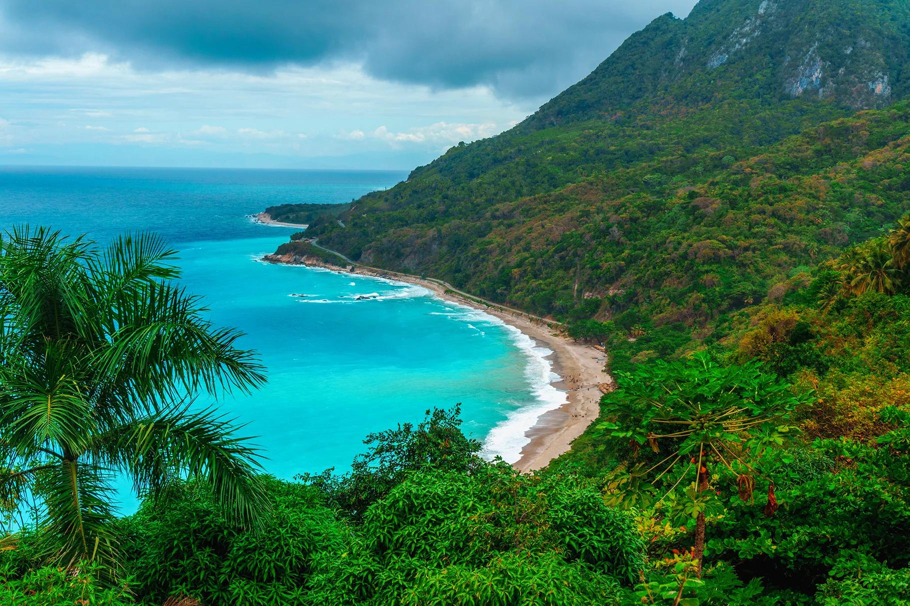 RepDom-image-background