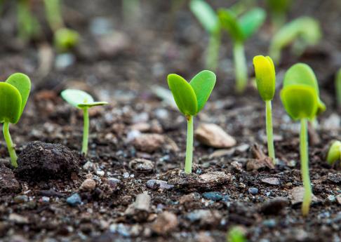 Telling the story of sustainable business