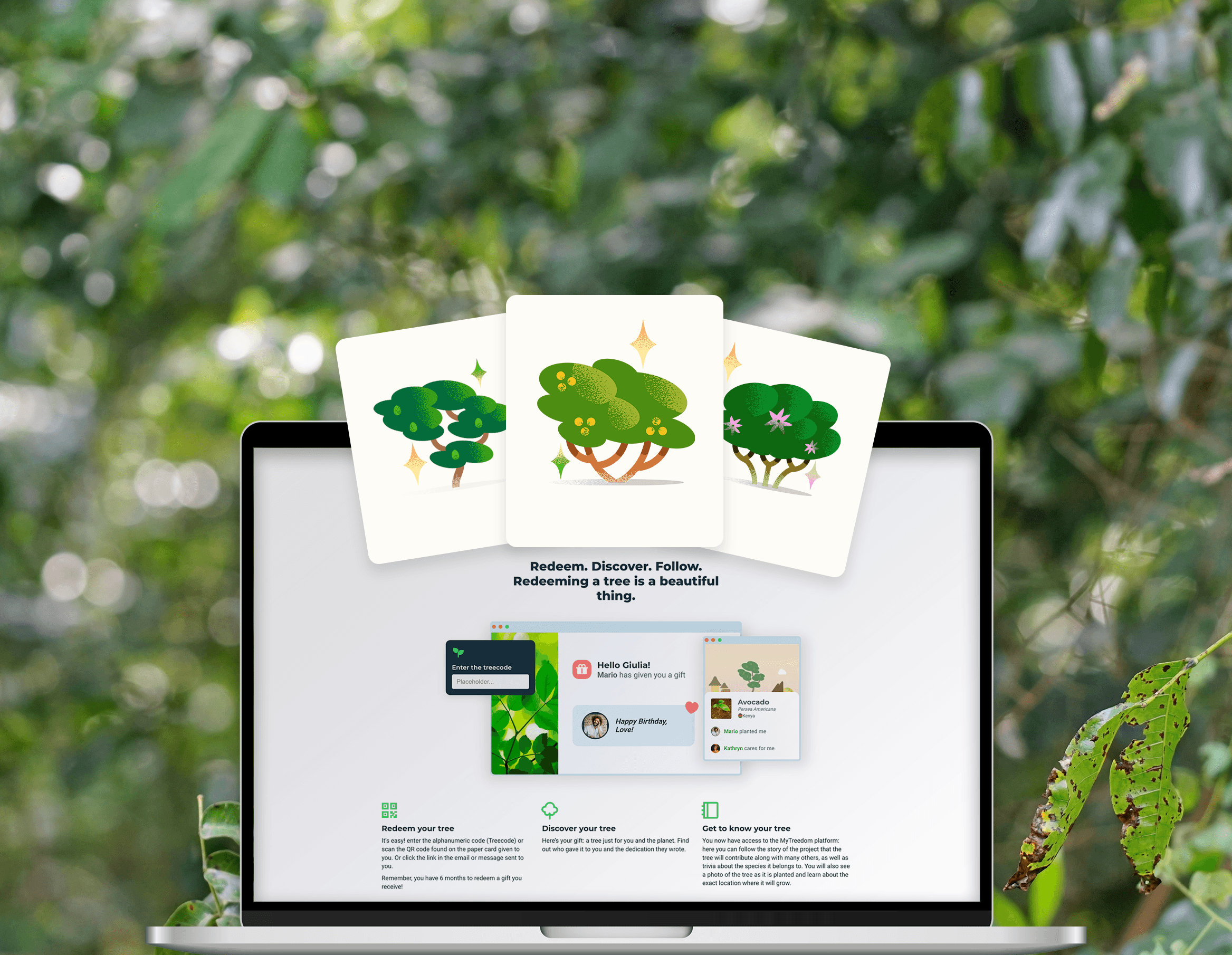 Regalo digitale, albero reale