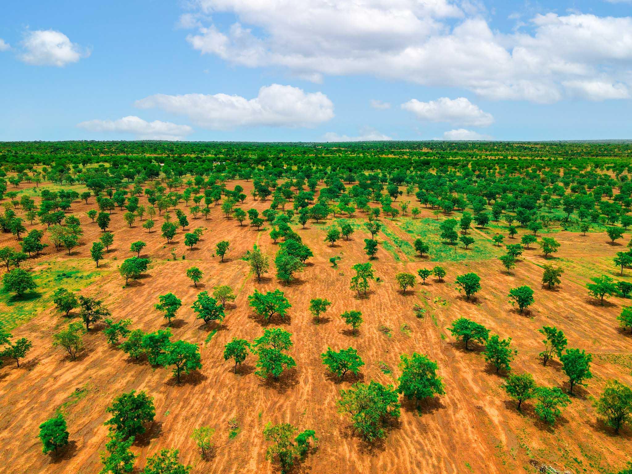 Ghana background