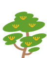 Más información sobre el árbol del Grevillea