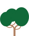 Lerne mehr über den Cashewbaum