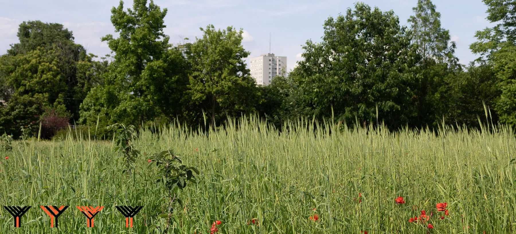 Parco Agricolo Sud immagine principale