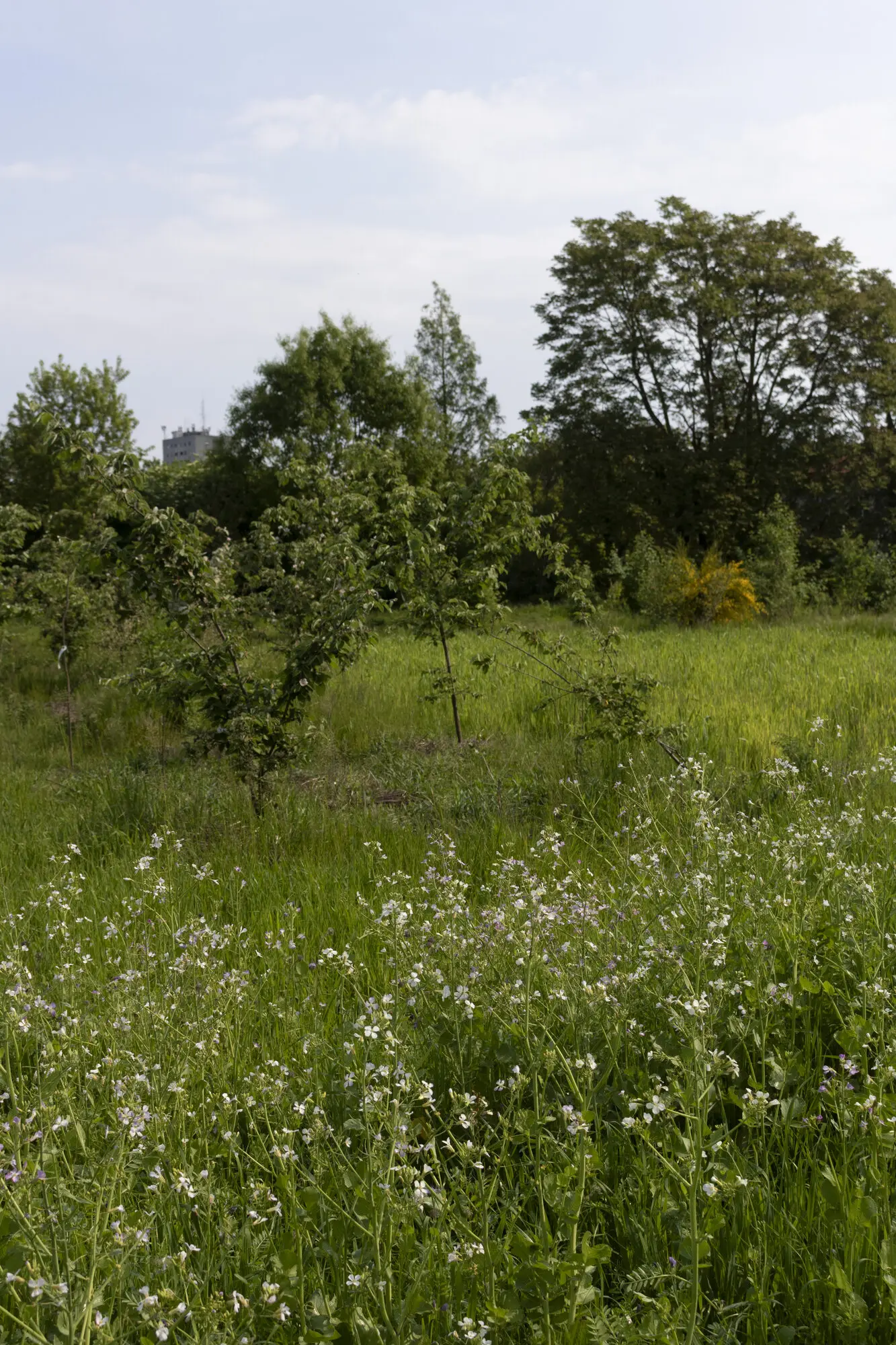 Parco Agricolo Sud foto 4