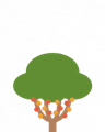 Scopri di più sull'Albero di Caffè