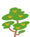 Scopri di più sull'Albero di Grevillea