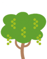 Scopri di più sull'Albero di Macadamia